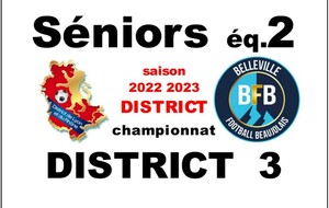 ASVEL VILLEURBANNE 2 - SENIORS 2 BFB