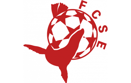 ST ETIENNE F.C