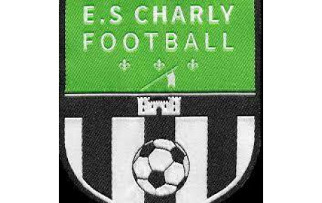 CHARLY ENT.S. F.